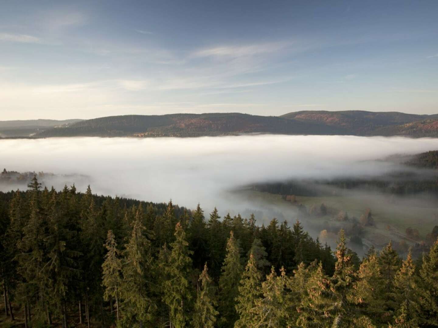 Wandern im Schwarzwald