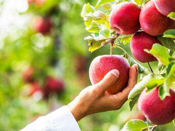 Erlebnistage am Bodensee mit der Landesgartenschau in Wangen im Allgäu