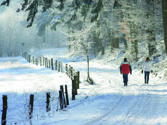 Winter-Wander-Schnäppchen