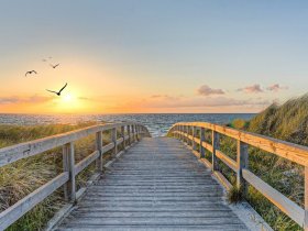 Die Insel Rügen entdecken