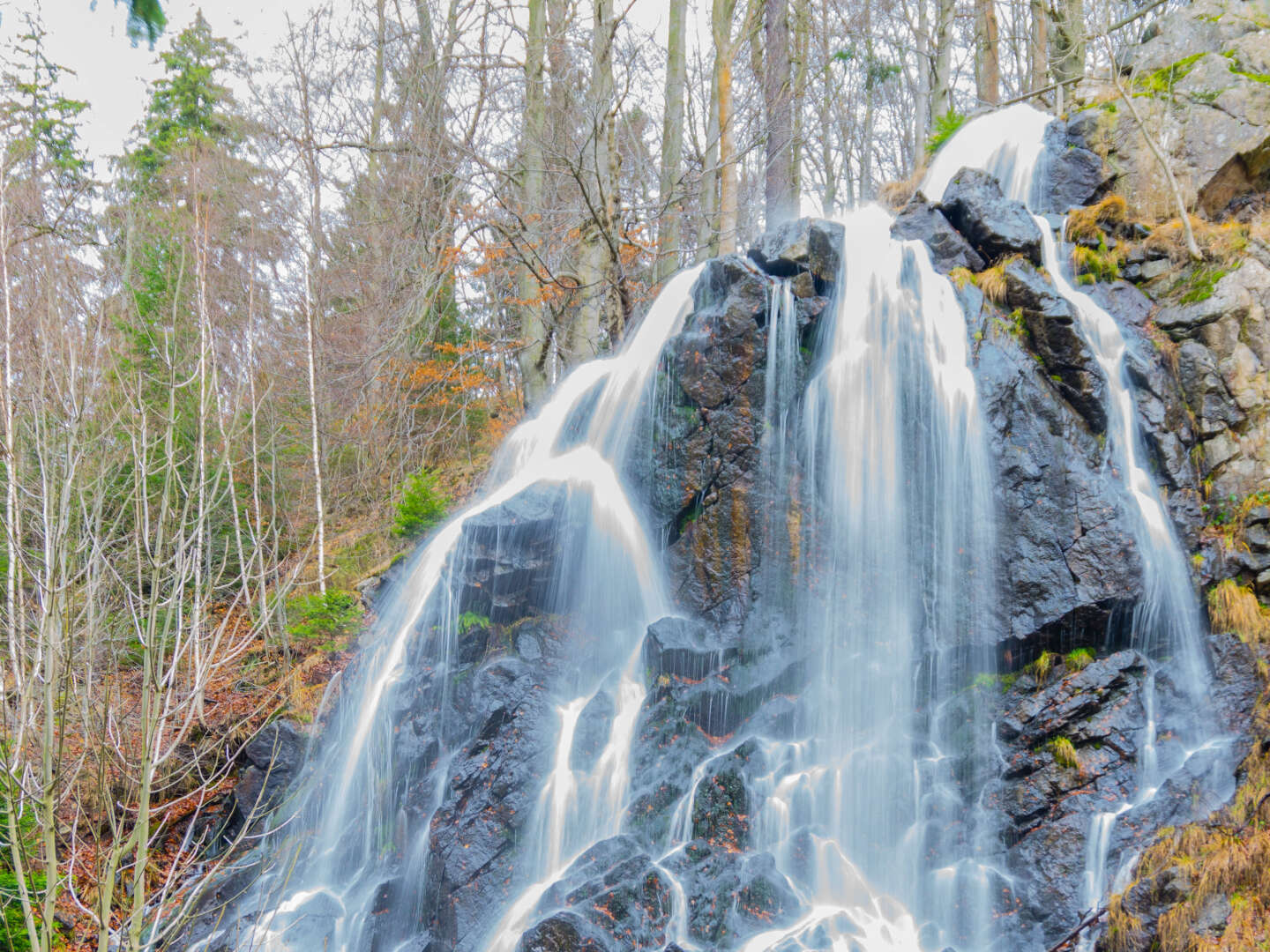 Entspannung im Harz