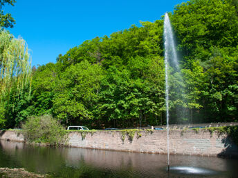 Romantische Auszeit- 8 Tage in Bad Harzburg inkl. Halbpension