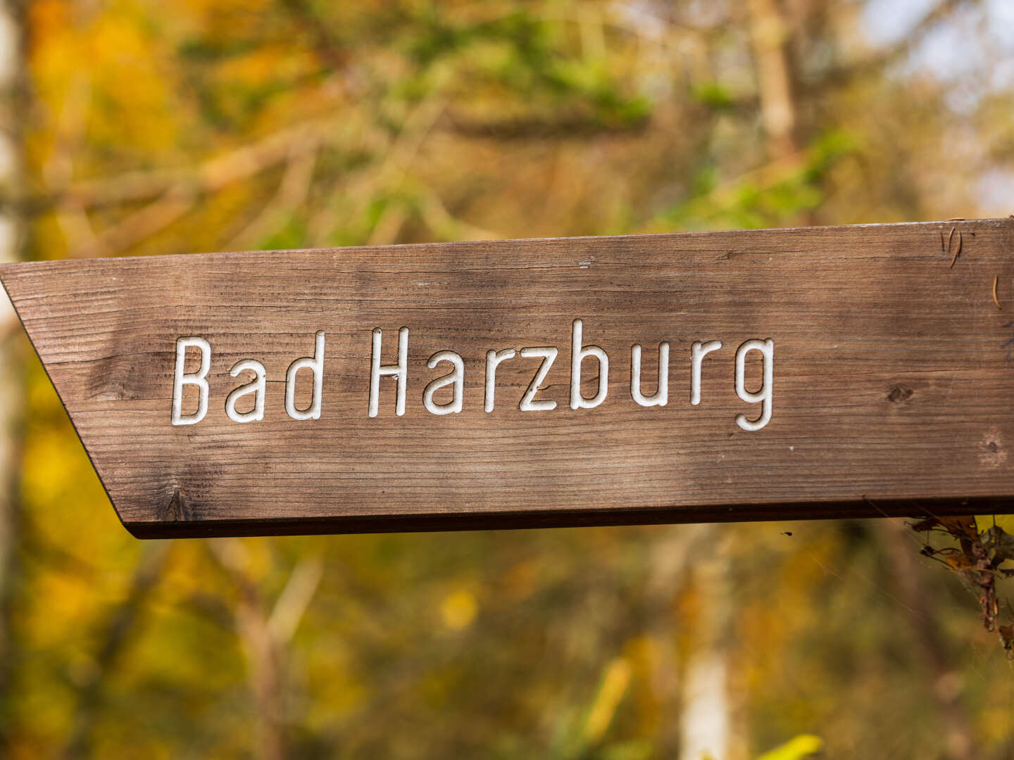 Golf-Tage im Harz