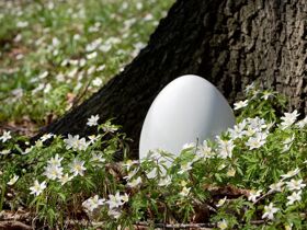 Osterzeit im Westerwald | 3 Tage inkl. HP und Rahmenprogramm