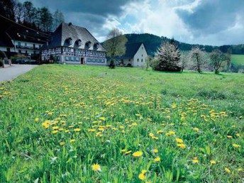 Der kleine Erholungsurlaub im Schwarzwald 8 Tage