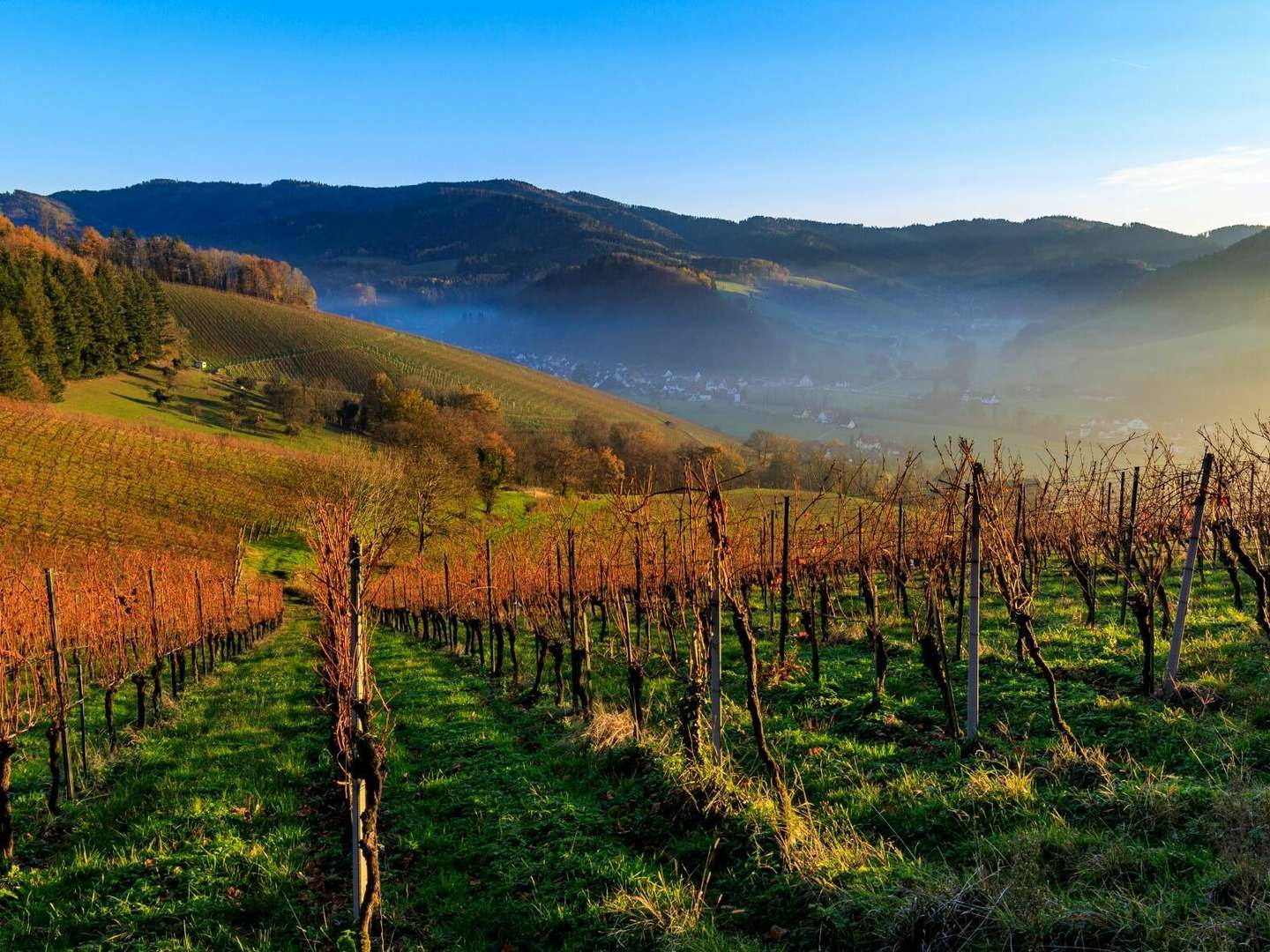 Der kleine Erholungsurlaub im Schwarzwald 8 Tage