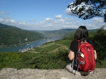 3 Tage - Rheinschnuppern im Rheintal inkl. Schiff- & Seilbahnfahrt