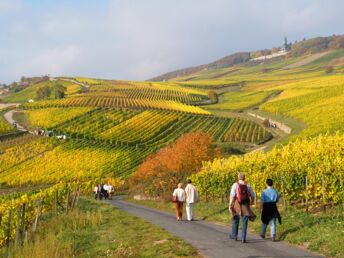 4 Tage Wandern auf dem berühmten Rheinsteig entlang Rhein und Reben 