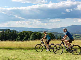 Verwöhn Tage im Reischlhof - Luxus-Wellness im bayerischen Wald mit Massage