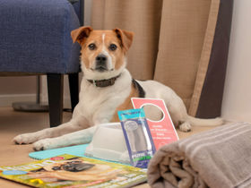 Sleep & Kiss - 2 Tage, 2 Herzen, ein Kurzurlaub in Aachen