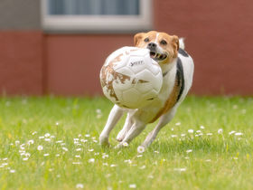 Sleep & Kiss - 2 Tage, 2 Herzen, ein Kurzurlaub in Aachen