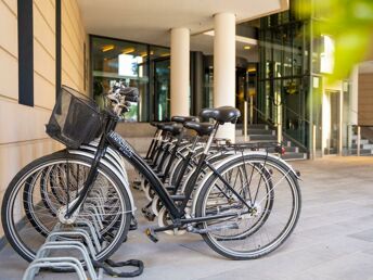 3 Tage Städtetrip nach Dresden inkl. 2-Gang-Menü 2025