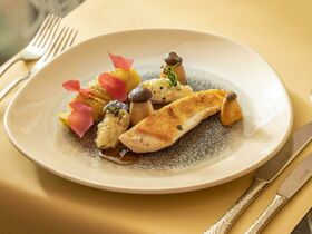 3 Tage Städtetrip nach Dresden mit Abendessen