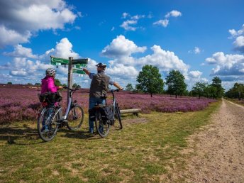 Heideschleifen Wandern- 6 Tage in der Lüneburger Heide  