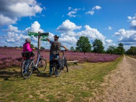 Heideschleifen Wandern- 4 Tage in der Lüneburger Heide