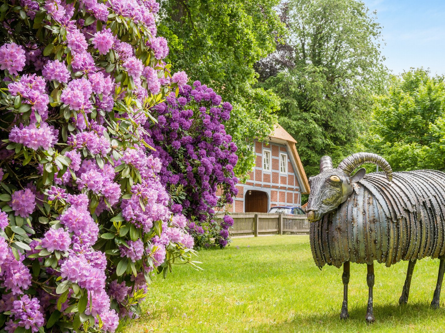 Heideschleifen Wandern- 6 Tage in der Lüneburger Heide  