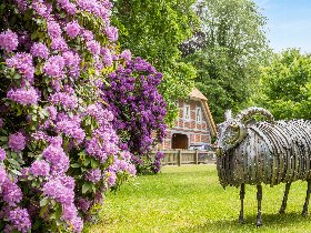 Heideschleifen Wandern- 4 Tage in der Lüneburger Heide