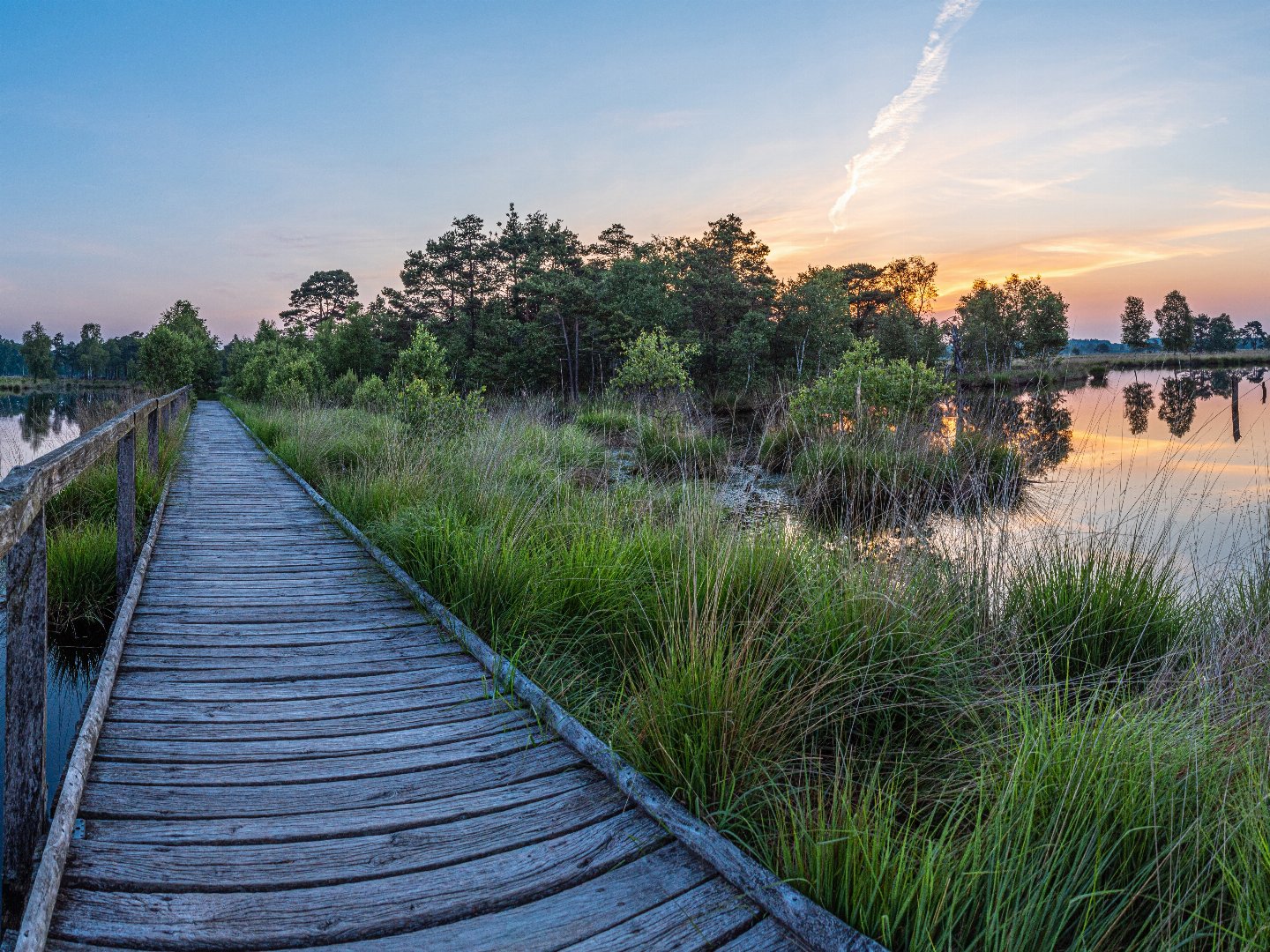 Heideschleifen Wandern- 6 Tage in der Lüneburger Heide  