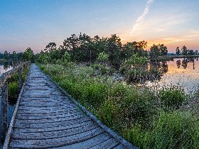 Heideschleifen Wandern- 4 Tage in der Lüneburger Heide