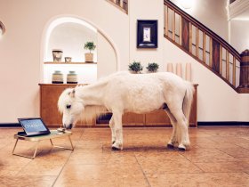 Romantische Auszeit mit 3-Gang-Menü im Münchener Umland nähe Erding | 2 Nächte