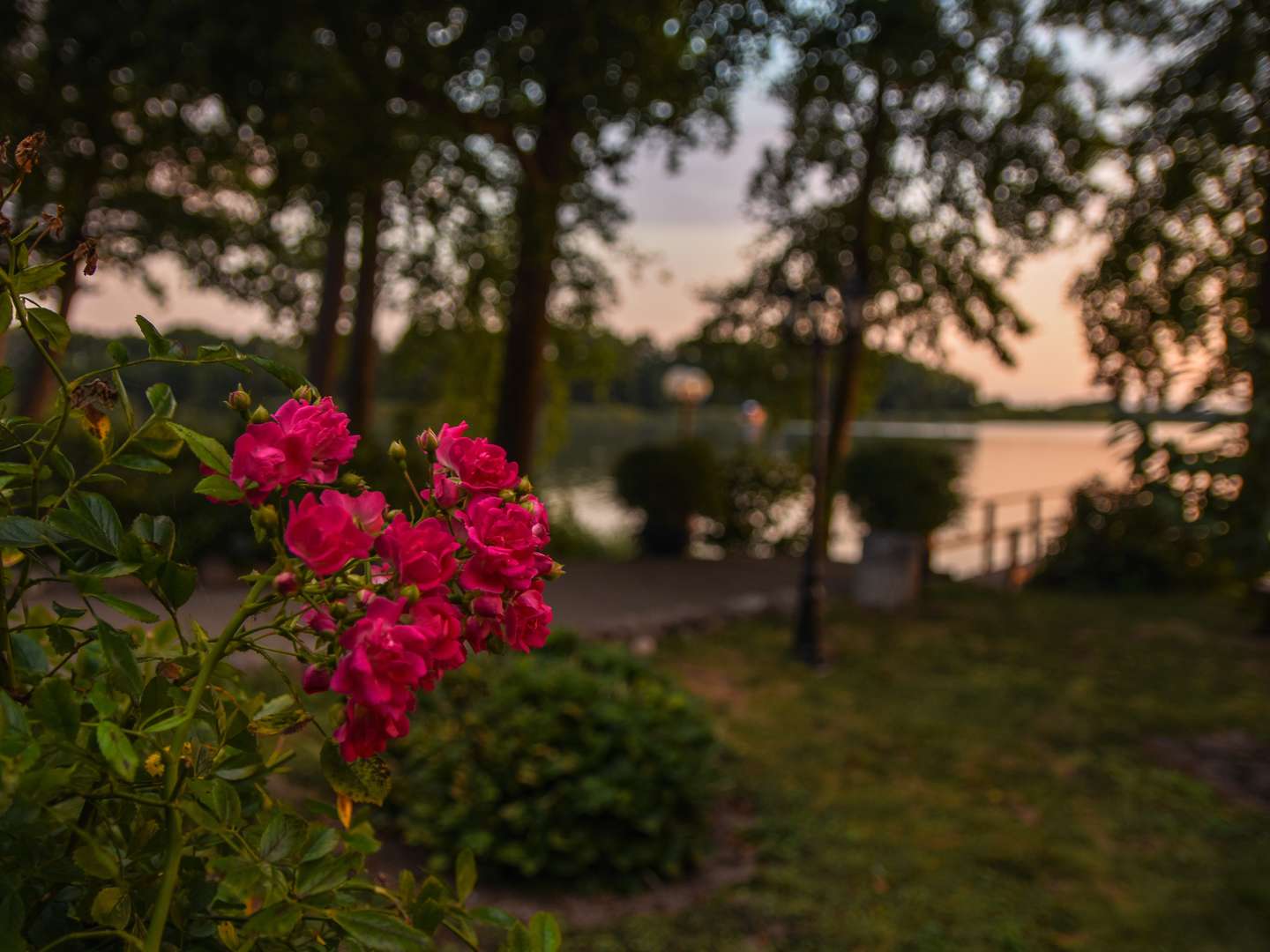 Angelausflug am Neetzener See inkl. 2-Gang Menü & Lunchpaketen