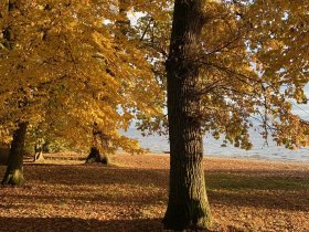 Bodensee intensiv 