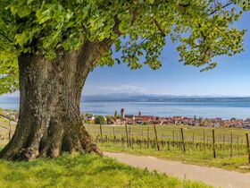 Bodensee intensiv 