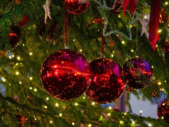Genießer-Advent am Bodensee