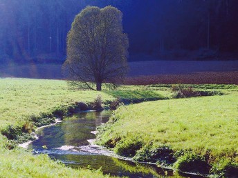 Romantikwochenende in der Eifel - inkl. 4-Gang-Menü & Massage