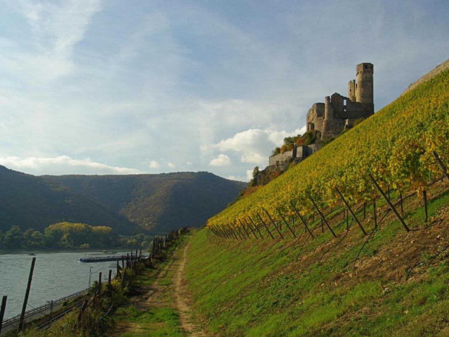 Wanderlust und Radlerglück inkl. Abendessen & Schifffahrt