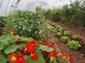 Landidyll Genuss Momente in der Pfalz inkl. 3-Gang & Pfalz Card