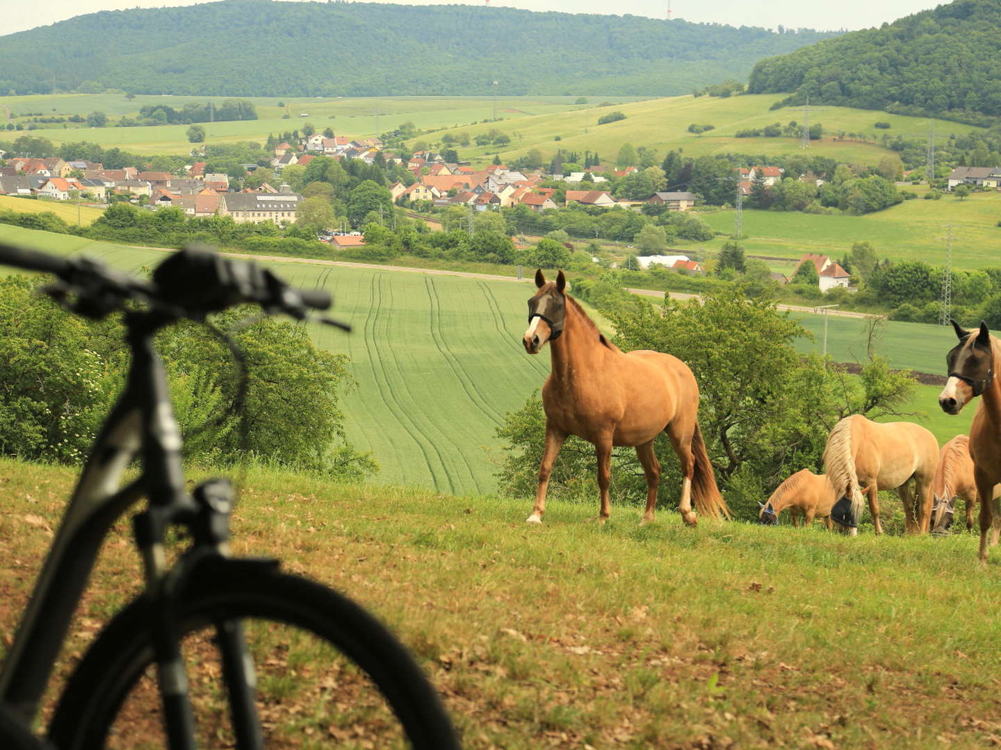 Landidyll GenussMomente 5-Gang