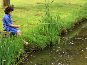 Landidyll Genuss Momente in der Pfalz inkl. 3-Gang & Pfalz Card