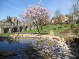 Blühender Mai in der Vulkaneifel - 4 Tage 