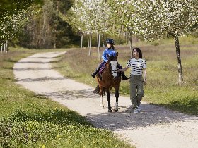 Wellness Auszeit an der Seenplatte! Exklusiv bei Kurzurlaub