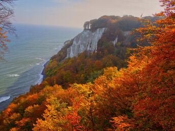 Bunter Herbst auf Insel Rügen | 4 Tage