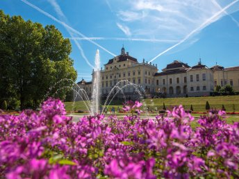 Ballonblühen im Blühenden Barock