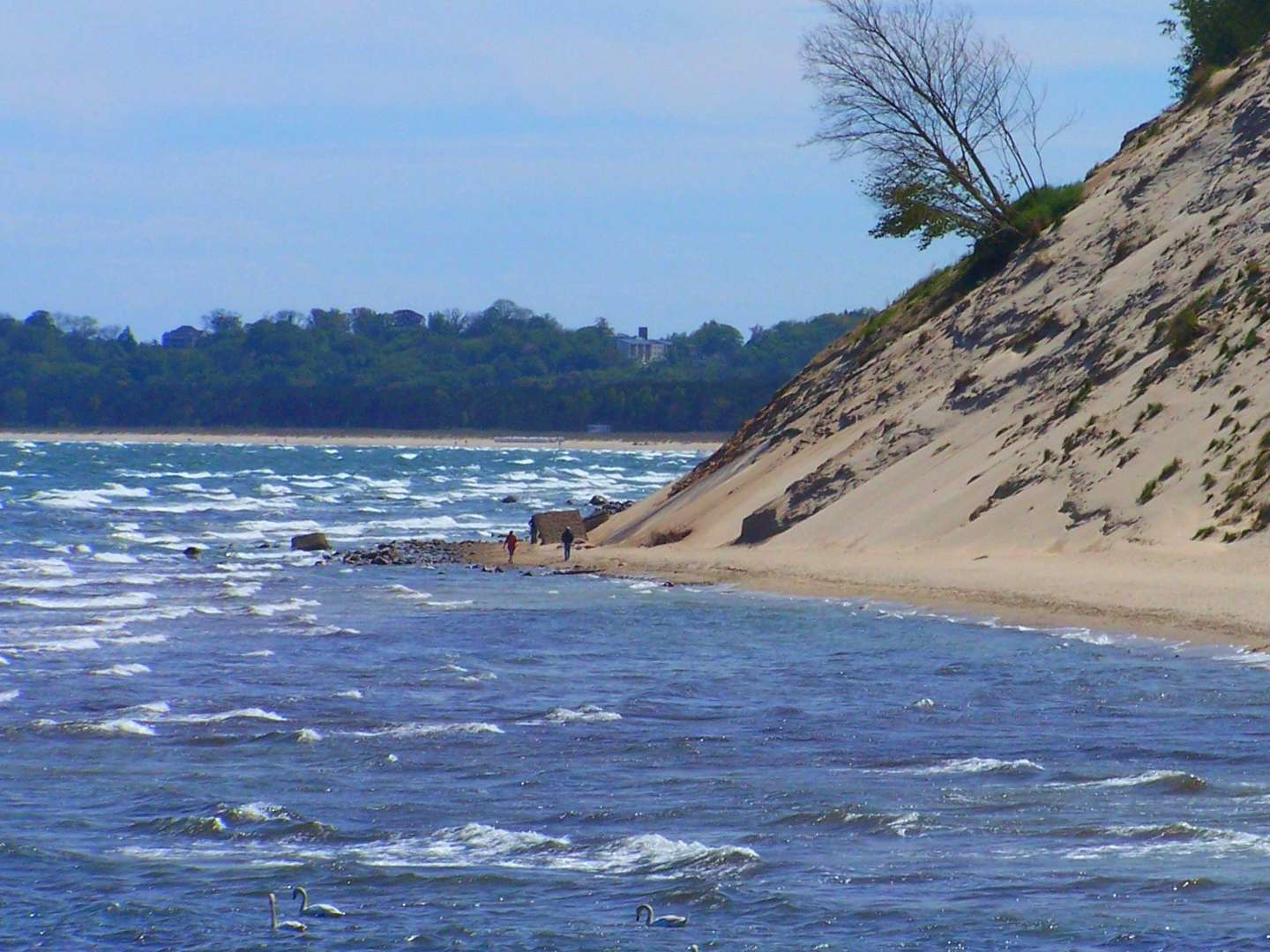 Goldener Herbst auf der Insel Rügen 2024