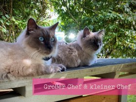 Bayrische Geschichte in Regensburg - Tradition trifft Moderne- 2 Tage