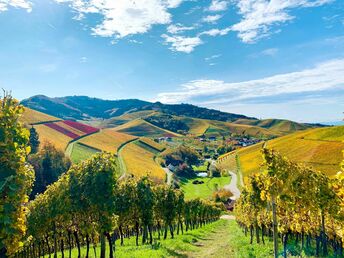 3 Tage kleine Auszeit zwischen Straßburg, Elsass & Schwarzwald