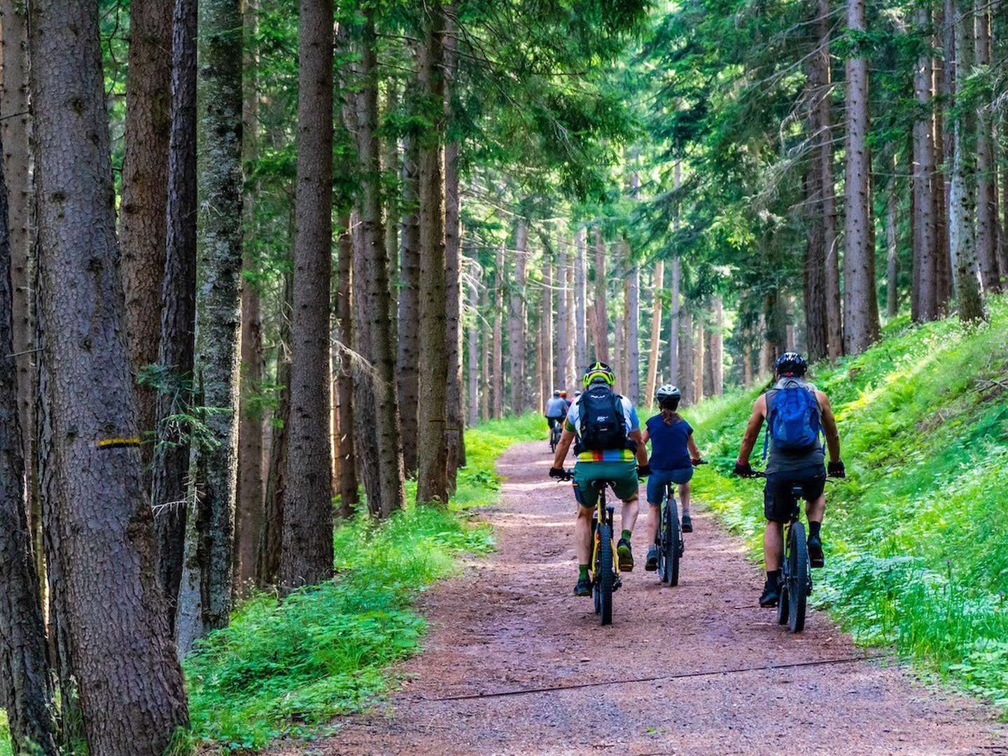 Eine Radtour rund um Wernigerode