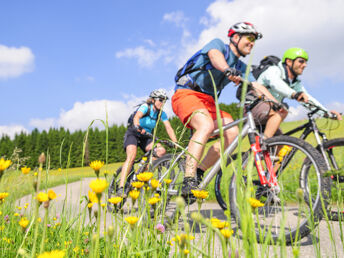 2 Tage Bett, Bike und Dinner in Marburg  2025