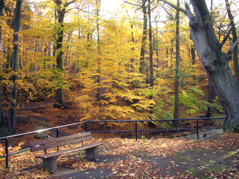 Romantische Genießertage in Ilsenburg