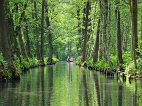 Rad-Wandern durch den Spreewald in Cottbus | 3 Tage