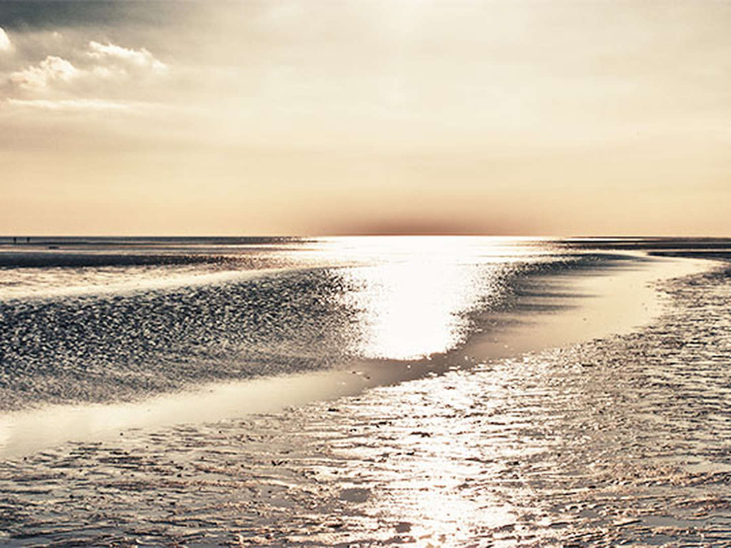 4 Tage Auszeit am Meer auf der Insel Wangerooge inkl. Halbpension 