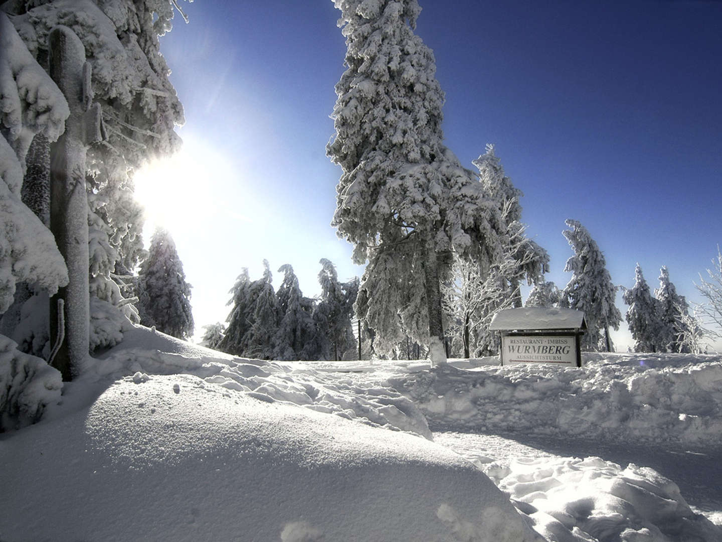 Wald und Wiesenpicknick im Harz