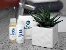 5 Tage Kultur & Genuss in der Domstadt Merseburg inkl. Sektkellerei Freyburg