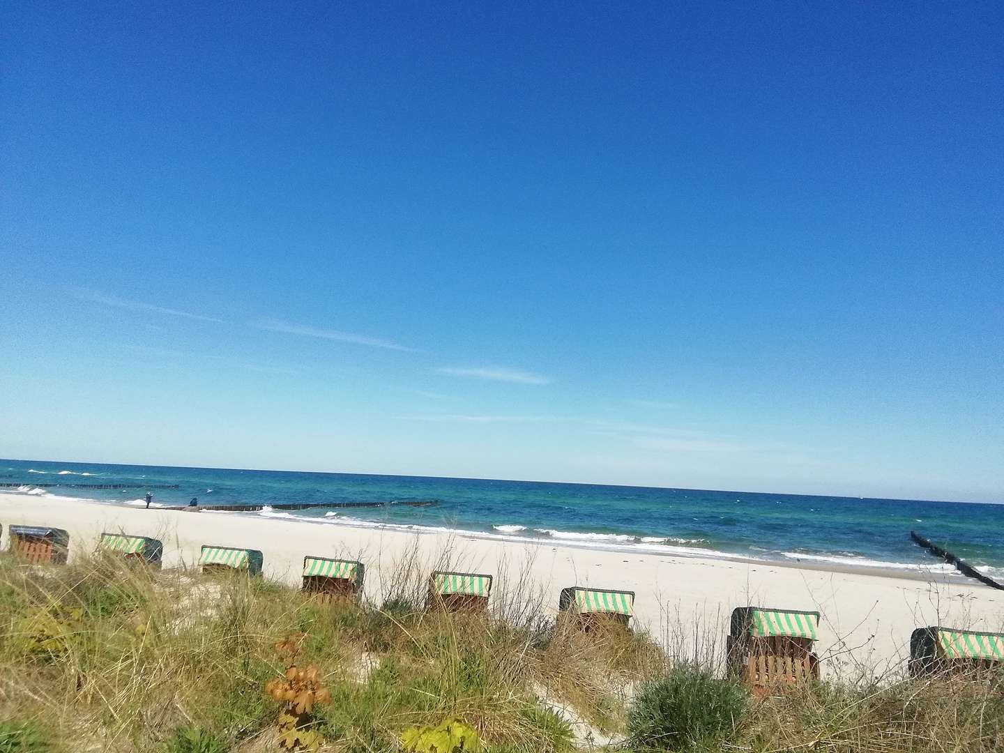 NEUERÖFFNUNG - Kurzurlaub in Kühlungsborn - nur 10 Gehminuten vom Strand entfernt