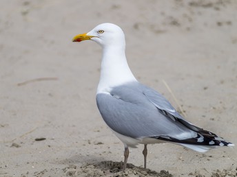 Auszeit an der Nordsee