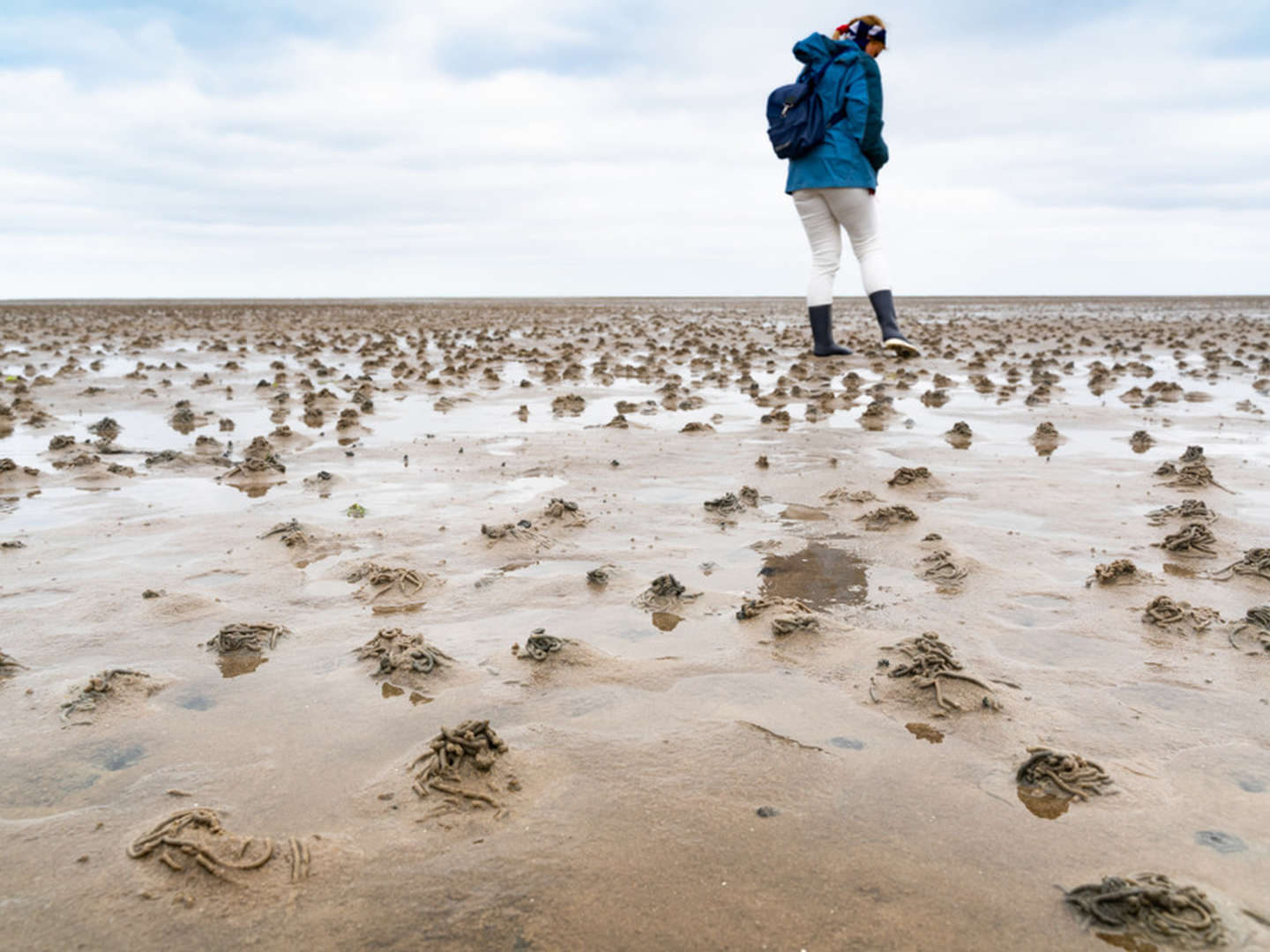 Weihnachten an der Nordsee inkl. Abendessen & Wellness 